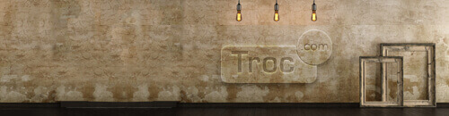 ¿Qué es <span class = 'text-box'> TROC.COM ? </span> - Líder europeo en productos de segunda mano.